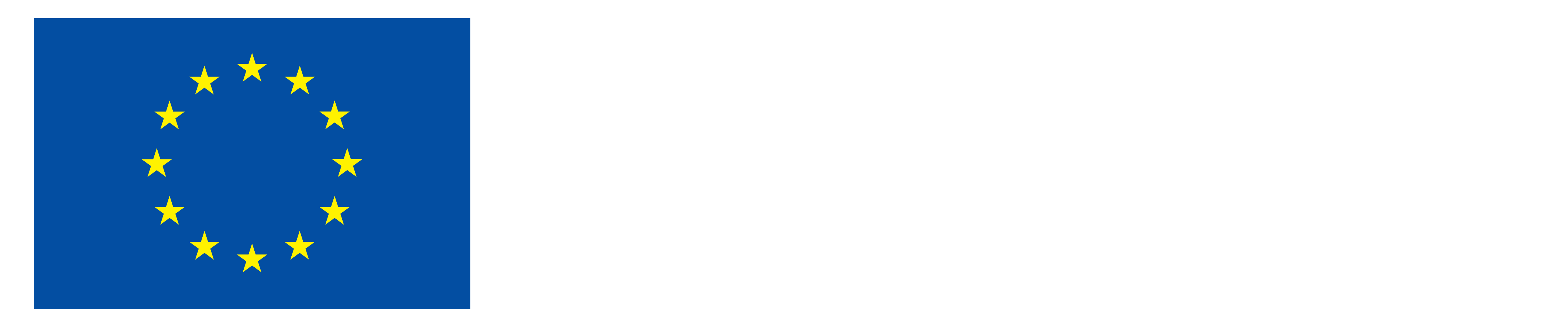 Logo Kofinanziert von der Europäischen Union